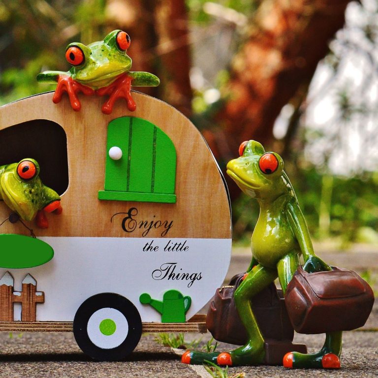 Hopping Mad: The Funniest Frog Puns Around