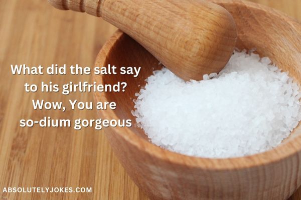 Jokes for Salt Puns