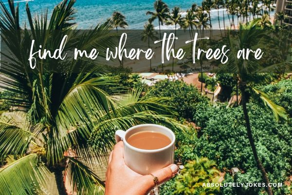 Photo of beach, trees and coffee cup with caption overlay