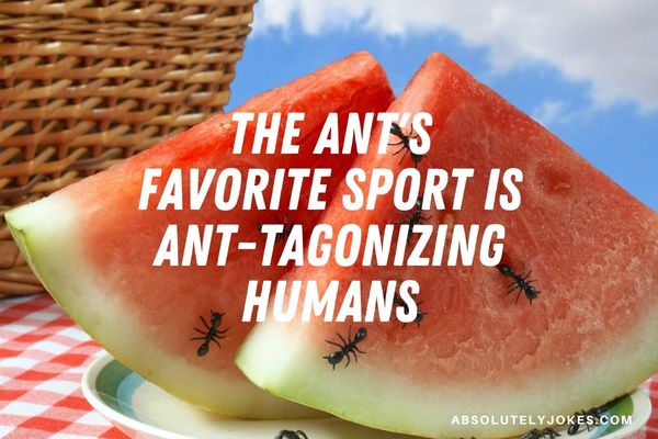 Image of ants eating watermelon with joke overlay