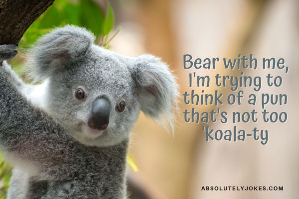 Koala Bear with text overlay - Koala Bear Pun