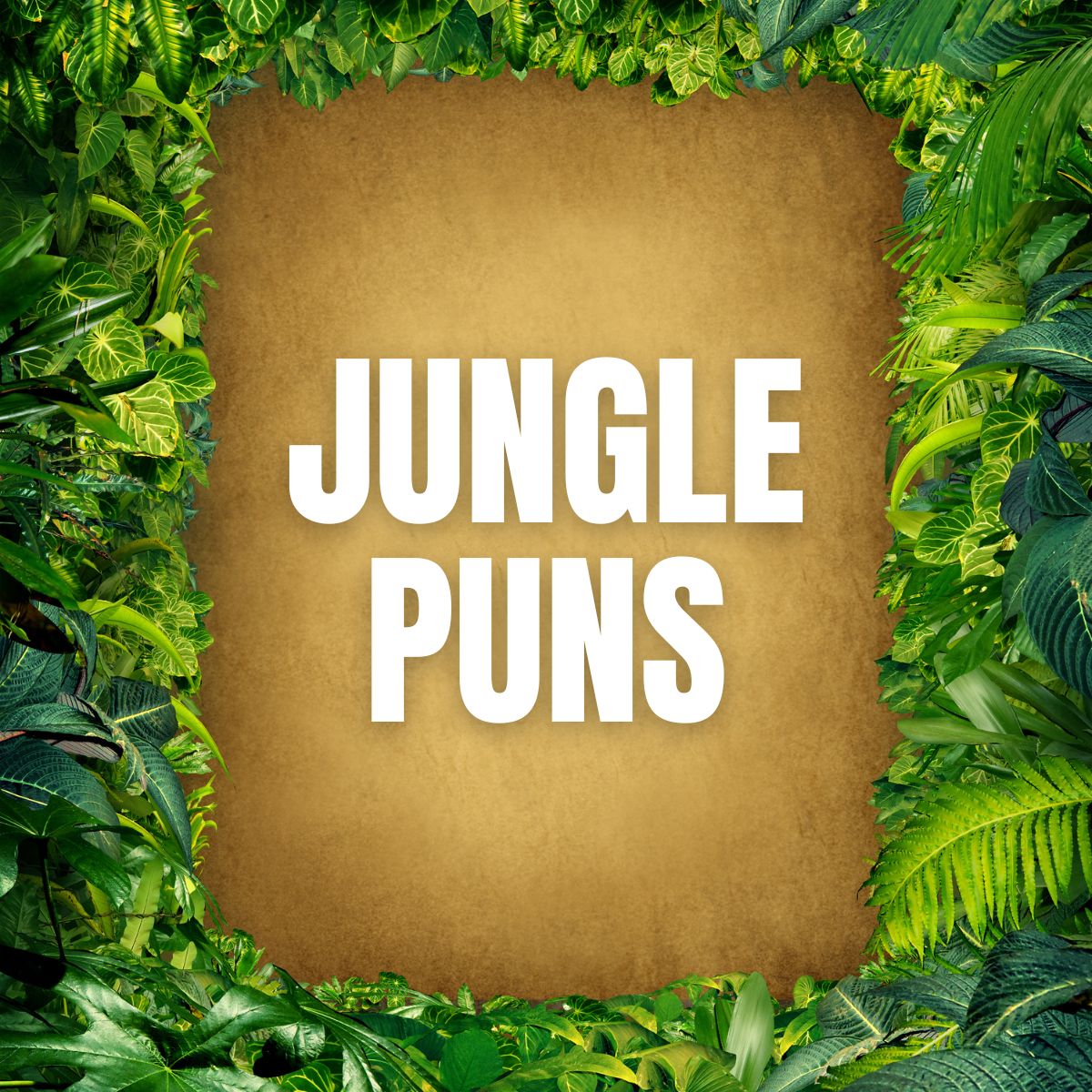 Jungle background with writing