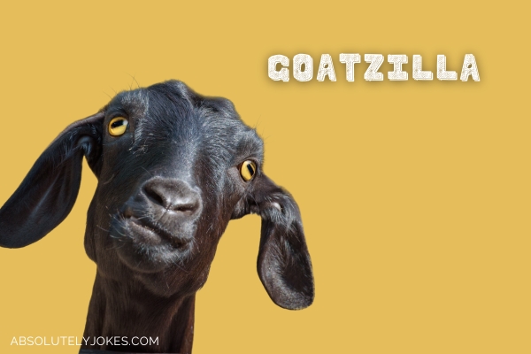 silly looking black goat with name overlay