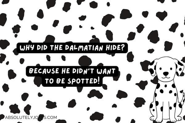black spots background, dalmatian dog graphics, with joke overlay