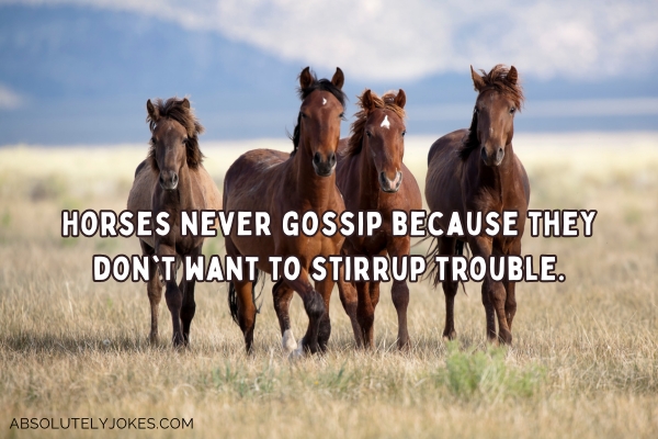4 horses in the wild with pun overlay